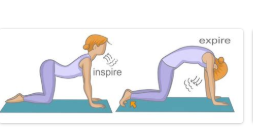 yoga posture chatvache